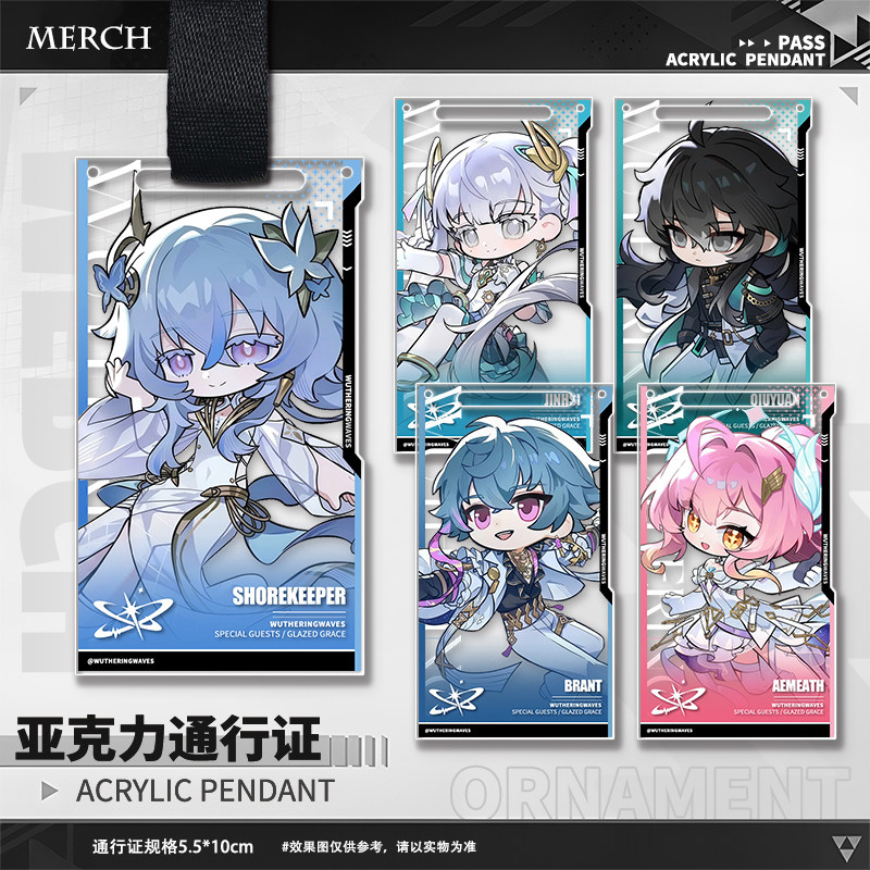 Game Wuthering Waves Aemeath T - Anime Merchandise Bag recension och pris