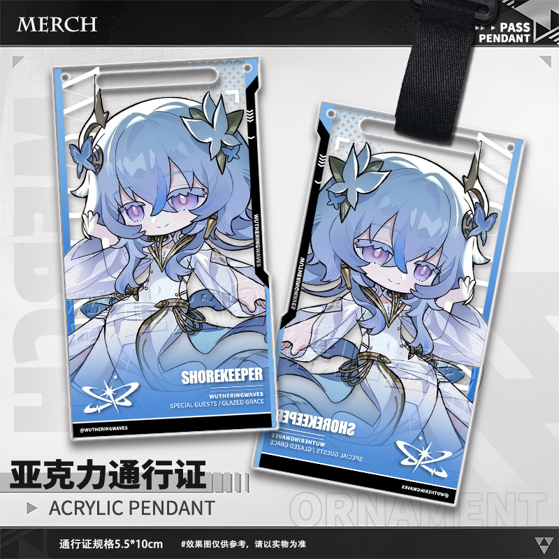 Game Wuthering Waves Aemeath T - Anime Merchandise Bag recension och pris